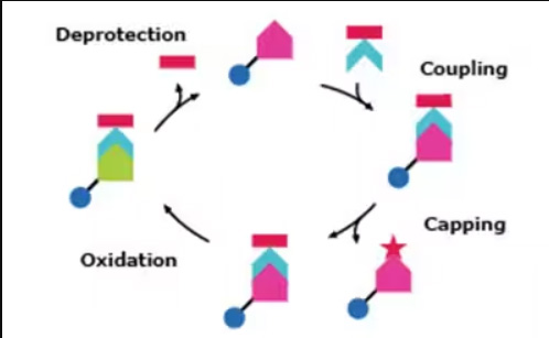 Chemical Synthesis