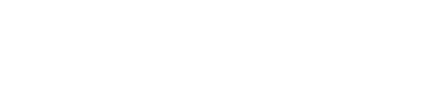 Ohaus Logo